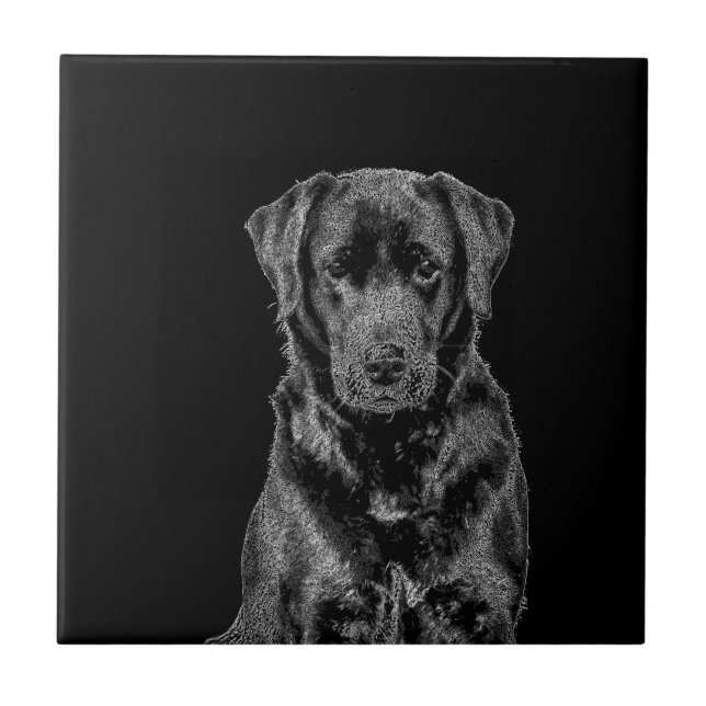 Cachorro Negro-Labrador Cachorro-Pinto-Papoila-esb (Frente)