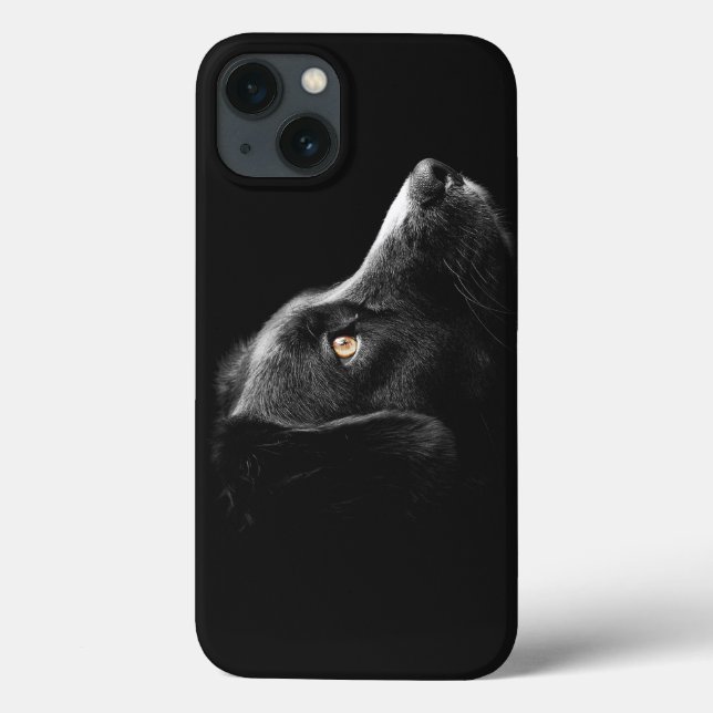 Cachorro Negro observando (Verso)