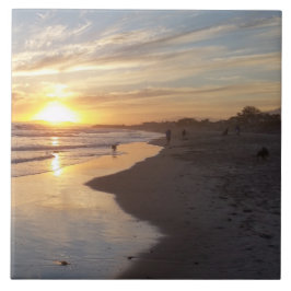 Cachorro no Azulejo Sunset California Dreaming