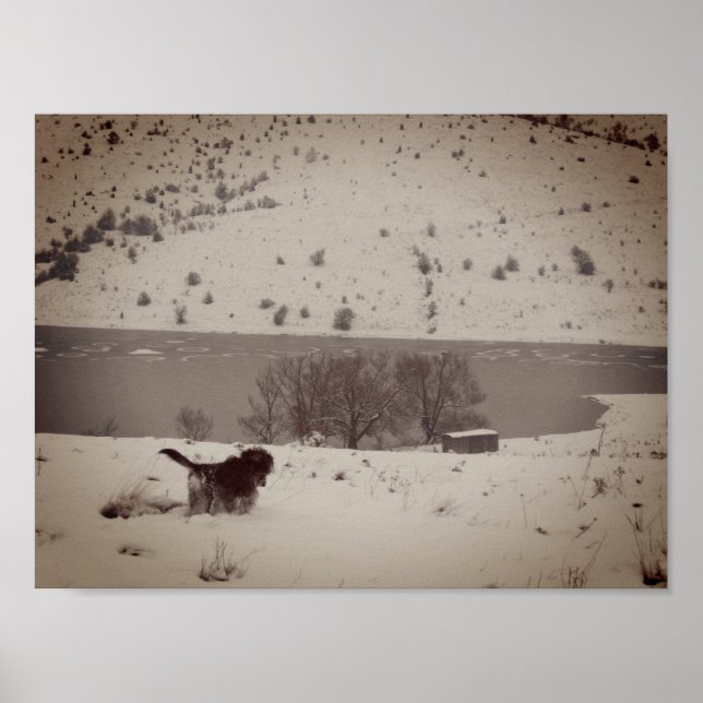 Cachorro no papel Poster do valor da neve (Frente)