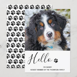 Cachorro Novo Anúncio de Pet