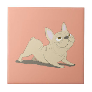 Cachorro olhando para baixo