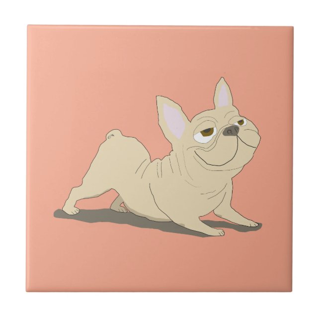Cachorro olhando para baixo (Frente)