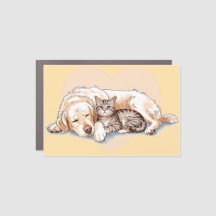 Cachorro ouro Retriever Cachorro Cachorro Cachorro