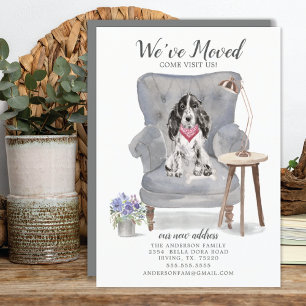 Cachorro Paniel Cocker   Anúncio de mudança