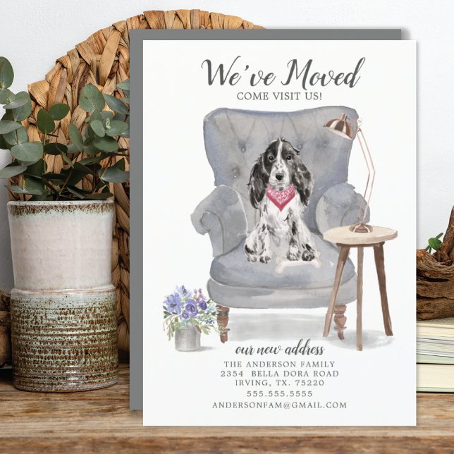 Cachorro Paniel Cocker | Anúncio de mudança (Criador carregado)