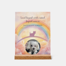 Cachorro Pequeno e Fofo Memorial Ponte do Arco-Íri