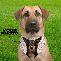 Cachorro Personalizado Bandana Pequena Puppy White
