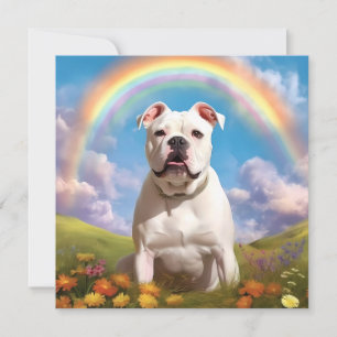 Cachorro Personalizado da Ponte Arco-Íris American
