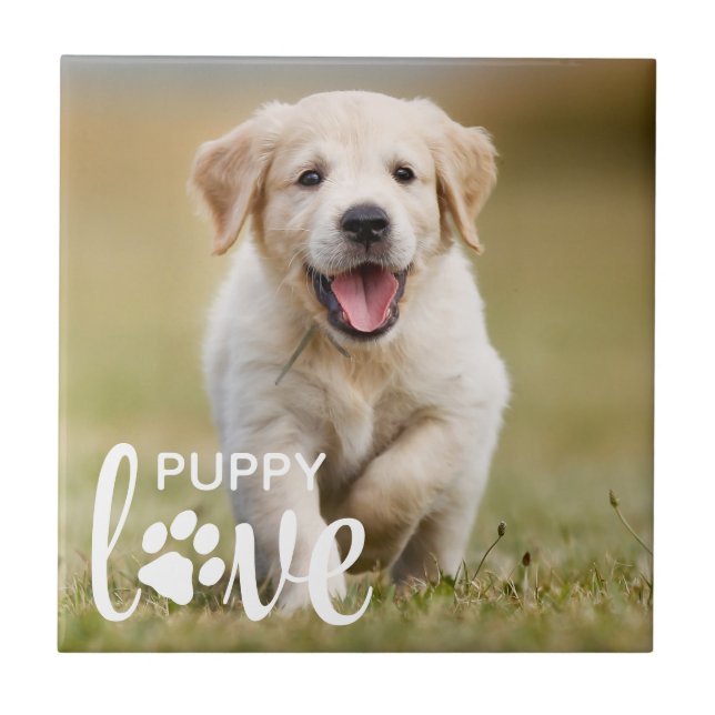Cachorro Personalizado De Foto De Pet Com Amor Bon (Frente)