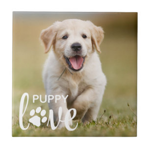 Cachorro Personalizado De Foto Pet Personalizado C