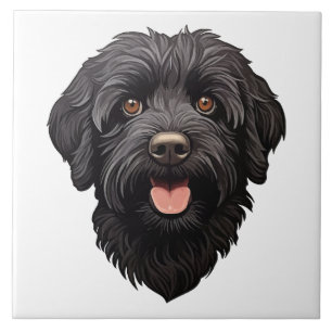 Cachorro Preto Labradoodle