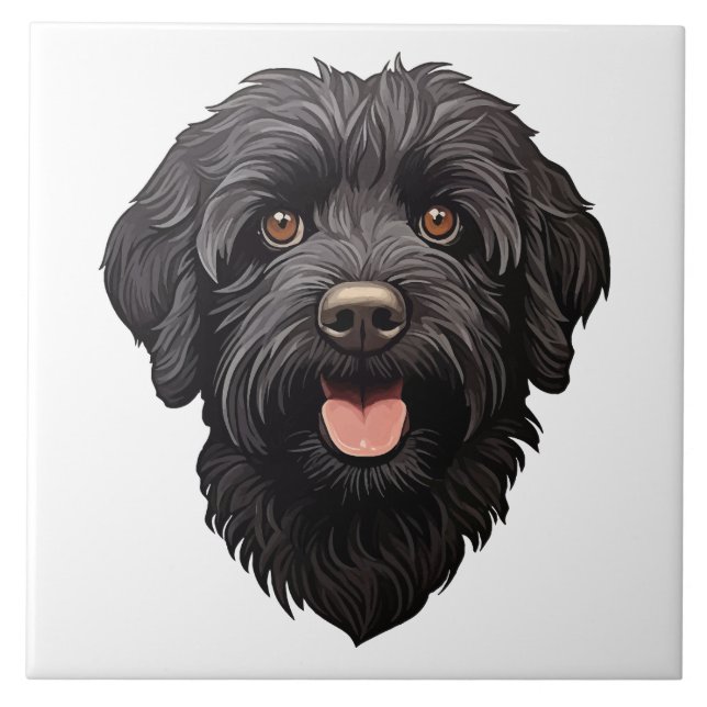 Cachorro Preto Labradoodle (Frente)
