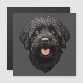 Cachorro Preto Labradoodle