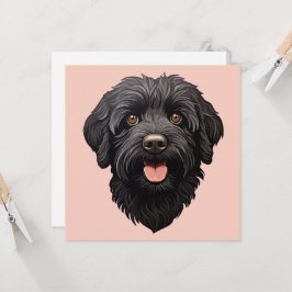Cachorro Preto Labradoodle
