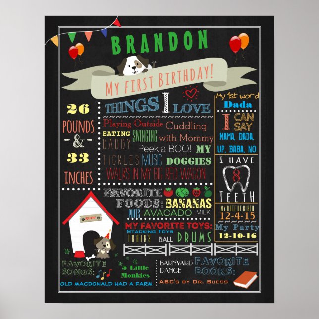 Cachorro Puppy Primeiro Aniversário Poster 16x20 (Frente)