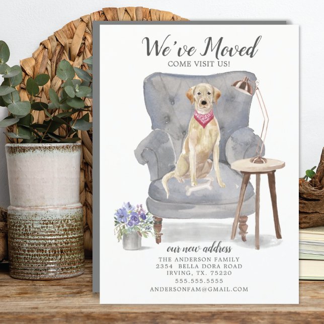 Cachorro retriever Labrador | Anúncio de Mudança (Criador carregado)