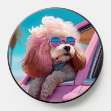 Cachorro Rosa Passo a Longo | Soquete de Pop