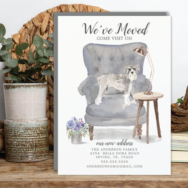 Cachorro Schnauzer Nós Mudamos O Anúncio Em Movime (Criador carregado)