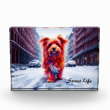 Cachorro vermelho descendo a rua de inverno de nev