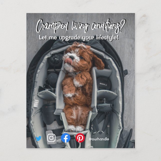 cachorro vivo com cartão postal (Frente)