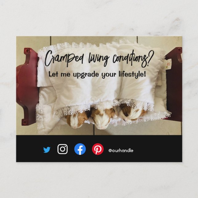 cachorro vivo com cartão postal (Frente)