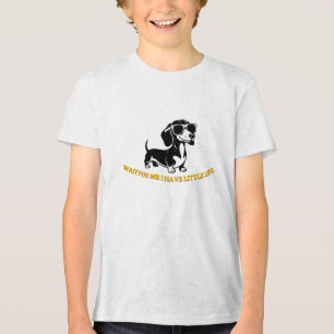 Cachorro Wiener Fofo Usando Óculos de Sol PNG – Pe