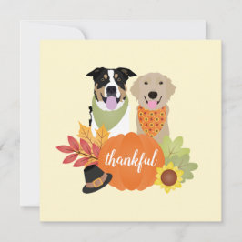 Cachorros Agradecidos Harvest Pumpkins