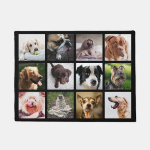 Cachorros bonitos e engraçados tapetes de porta de