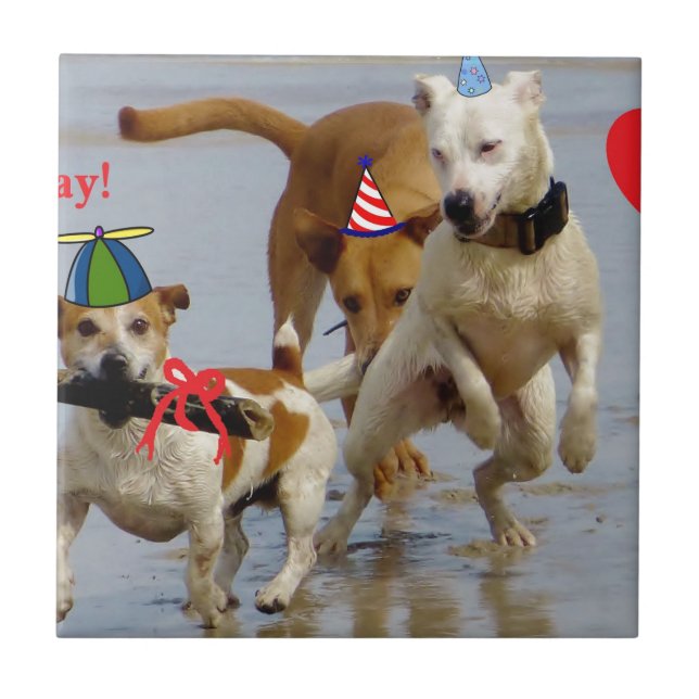 cachorros de aniversário felizes (Frente)