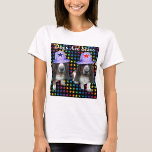Cachorros de camisa são estrelas