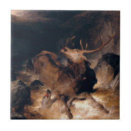 Cachorros de cervo em uma corrente torrencial