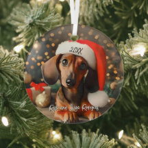 Cachshund Vermelho Bonito Puppy com Papai Noel