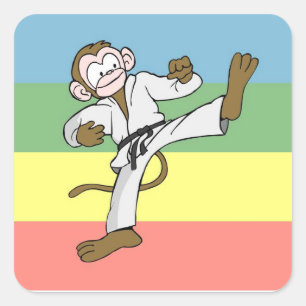 Caçoa a etiqueta das artes marciais