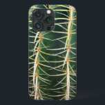 Cacto Da Esfera Verde Botânica<br><div class="desc">Bem verde,  bem afiado e perigoso. Mas é só uma foto! Foto de cacto de esfera,  faz seu dispositivo se destacar. e,  por um segundo,  hesite em agarrá-lo! Sinta o alivio quando não há dor envolvida,  afinal!</div>