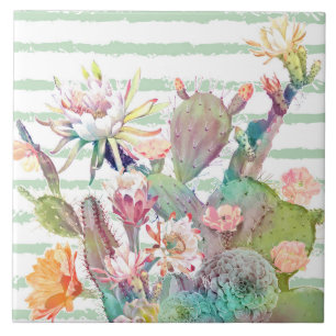 Cacto de aquarelas, design de listras e flores