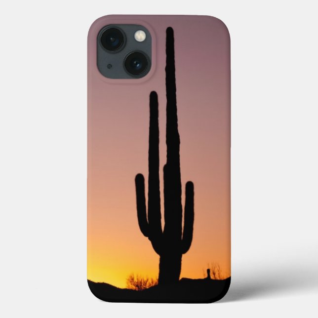 Cacto do Saguaro no por do sol (Verso)