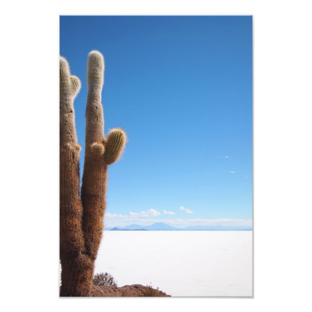 Cacto gigante na impressão de fotografia Salar de  (Frente)