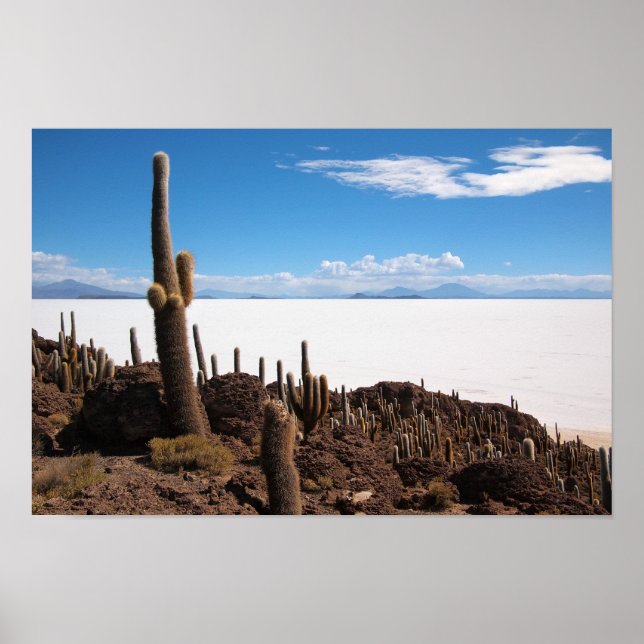 Cacto gigante no poster Salar de Uyuni impressão (Frente)