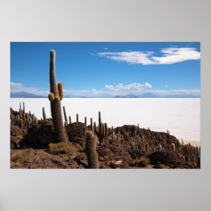 Cacto gigante no poster Salar de Uyuni impressão