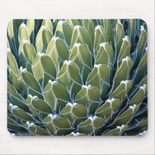 Cacto legal Mousepad