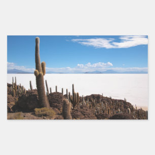 Cacto na etiqueta retangular de Salar de Uyuni