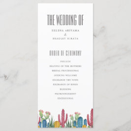 Cactos Coloridos | Tema do deserto | Programa Casa