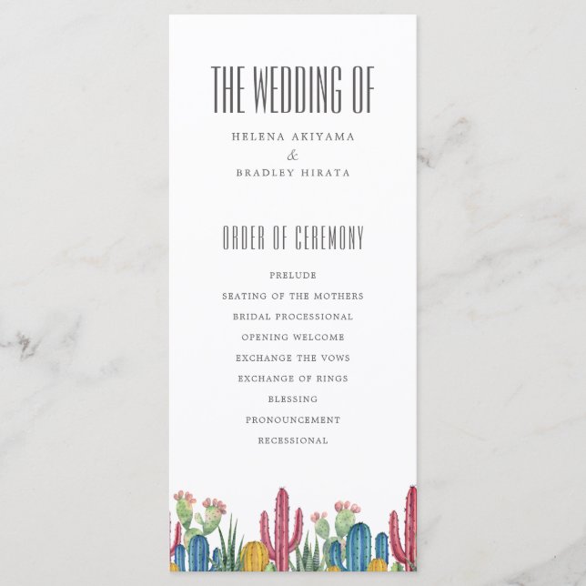 Cactos Coloridos | Tema do deserto | Programa Casa (Frente)