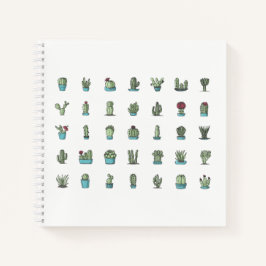 Cactos Suculentas Plantas Desenhadas Botânica