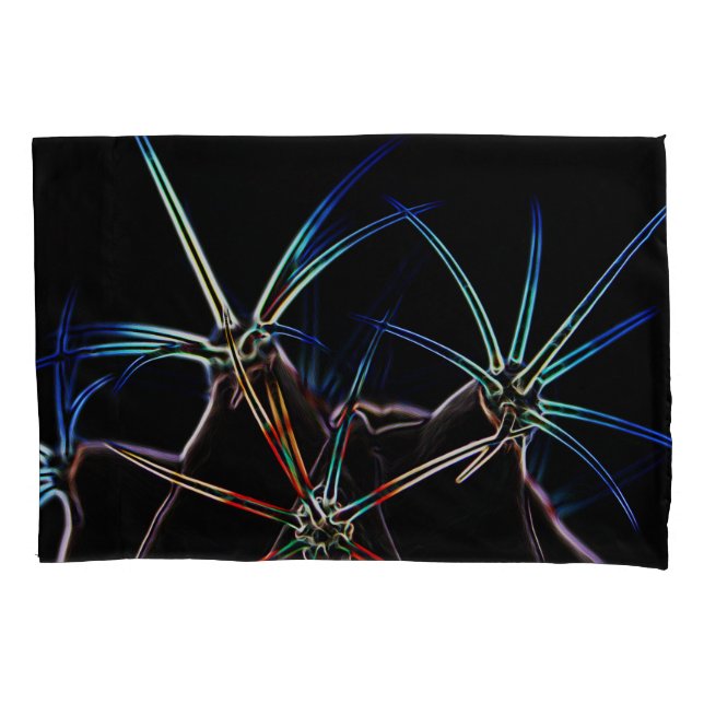 Cactus 1 pcna (Frente)