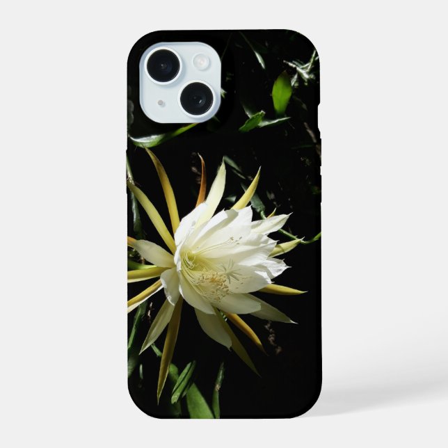 Cactus Bloom (Verso)
