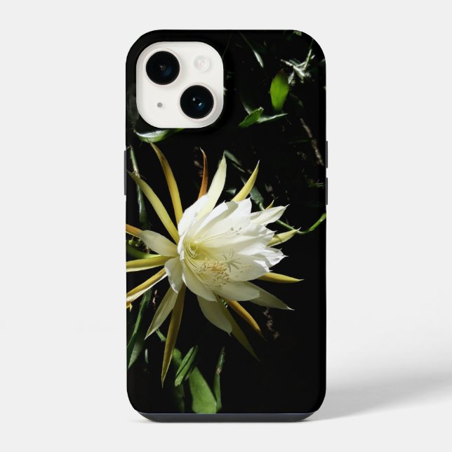 Cactus Bloom (Verso)
