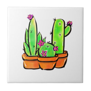 Cactus cactos succultos