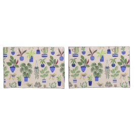 Cactus Cactos Sucultivos Rosa